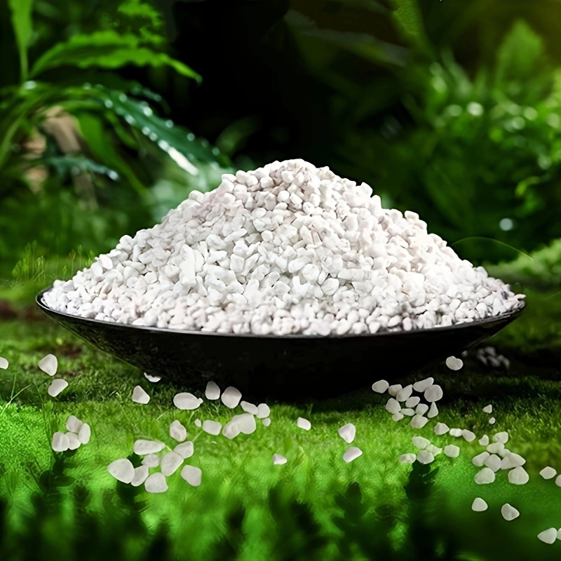 1 verpakking van 3-6 mm tuinbo - Horticulture Soil Perlite recensie en prijs